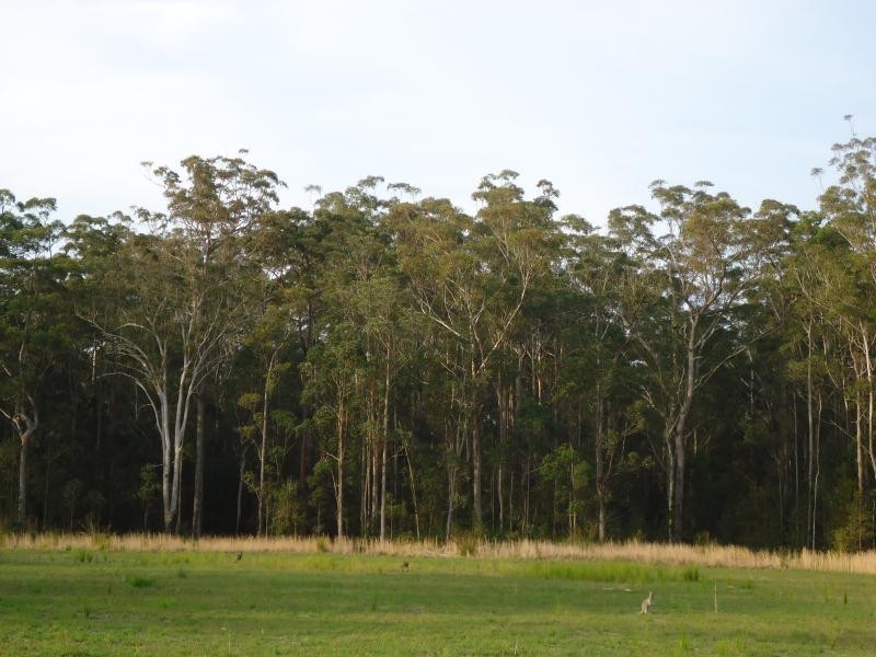 71 BLACKMANS POINT ROAD, Port Macquarie NSW 2444