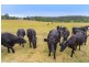 130 Gum Scrub Road, Gum Scrub NSW 2441
