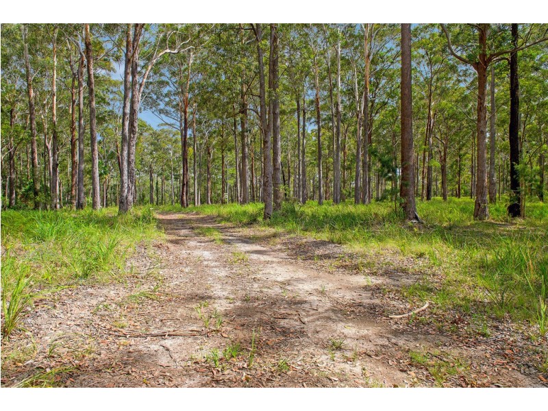 147 The Ruins Way, Port Macquarie NSW 2444