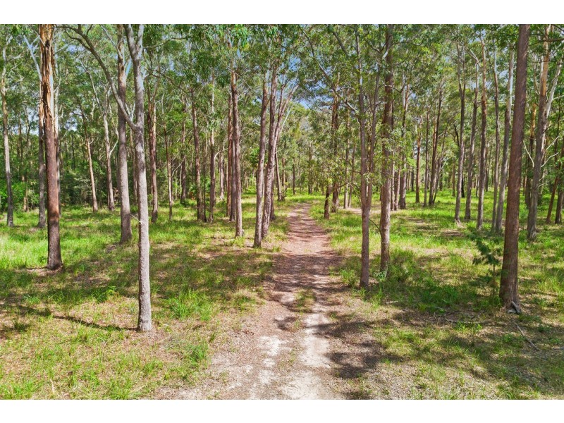 147 The Ruins Way, Port Macquarie NSW 2444