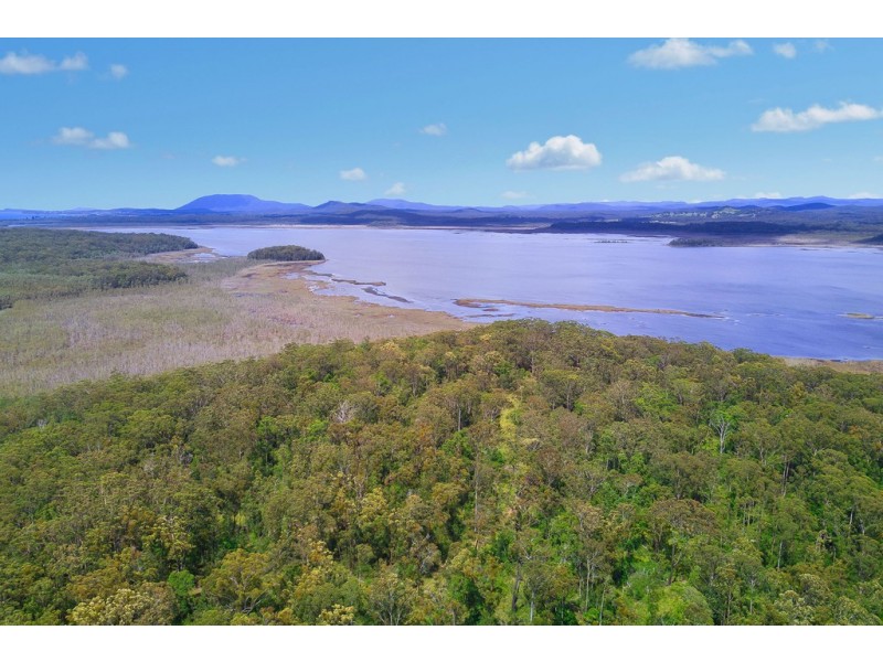 147 The Ruins Way, Port Macquarie NSW 2444