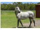 155 Blackmans Point Road, Port Macquarie NSW 2444