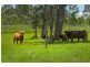 155 Blackmans Point Road, Port Macquarie NSW 2444