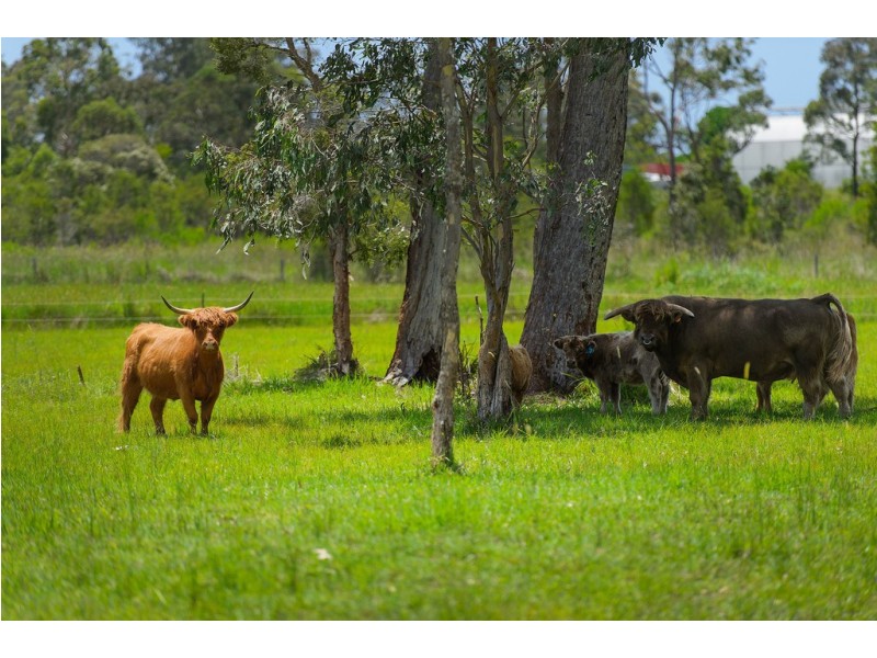 155 Blackmans Point Road, Port Macquarie NSW 2444
