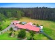 37 Lincoln Road, Port Macquarie NSW 2444