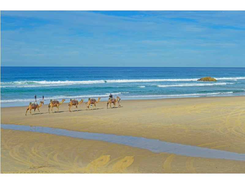 3 Hassall Street, Port Macquarie NSW 2444