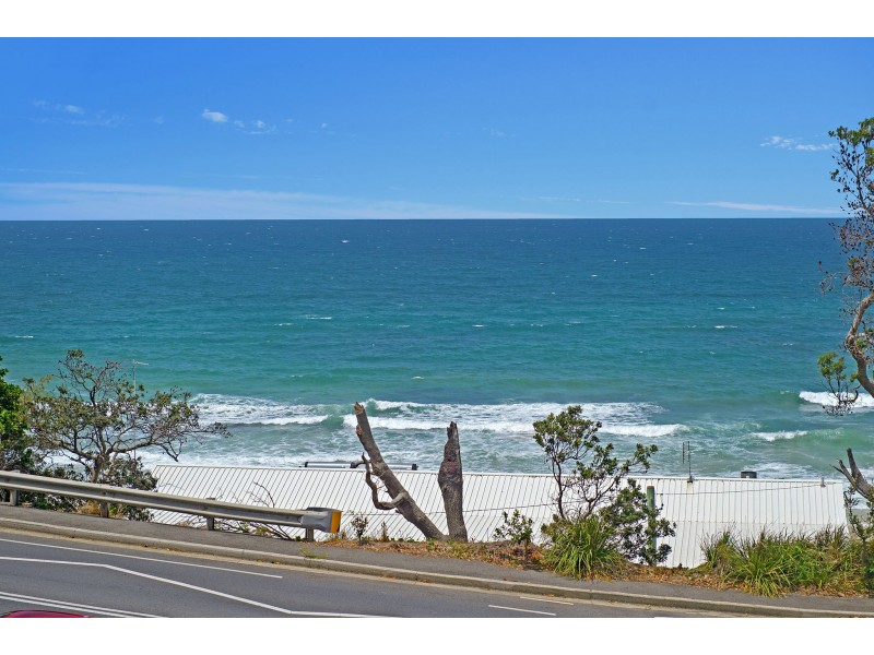 50 Pacific Drive, Port Macquarie NSW 2444