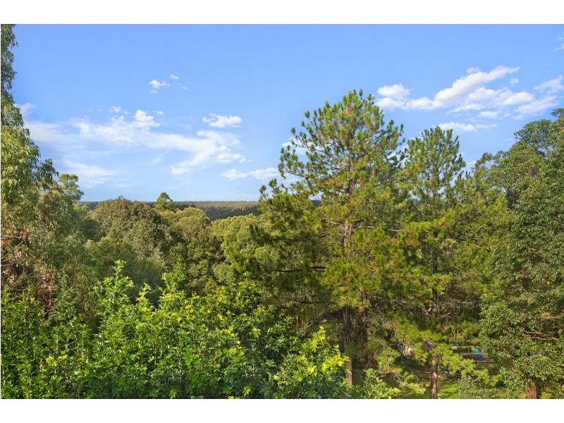 182 Rollands Plains Road, Telegraph Point NSW 2441