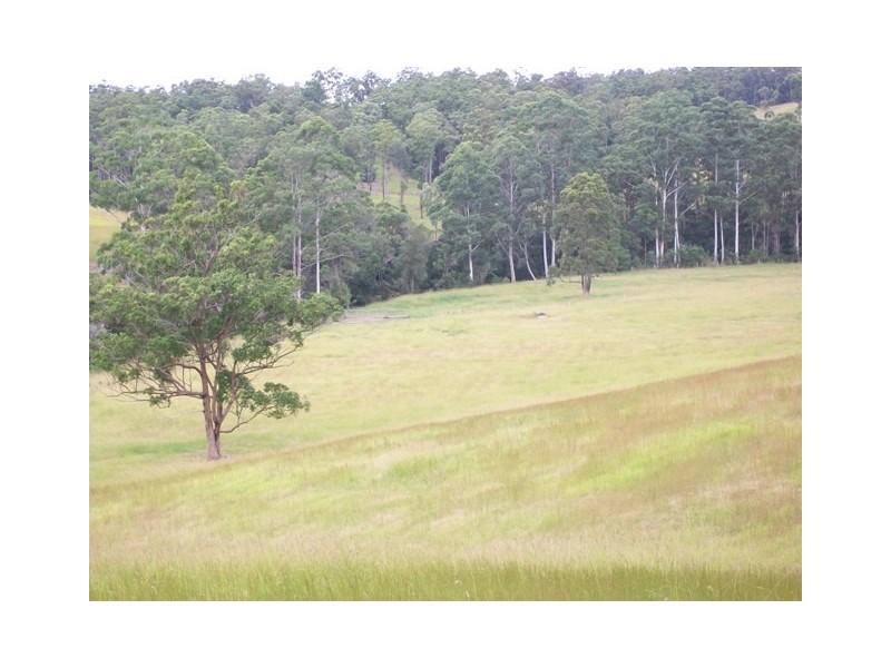 5/302 Brookhouse Road, Pembrooke NSW 2446