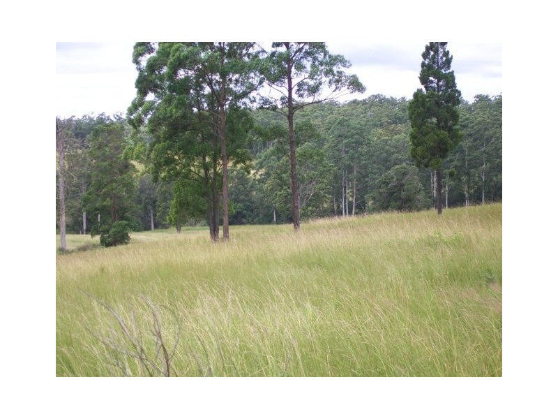 5/302 Brookhouse Road, Pembrooke NSW 2446