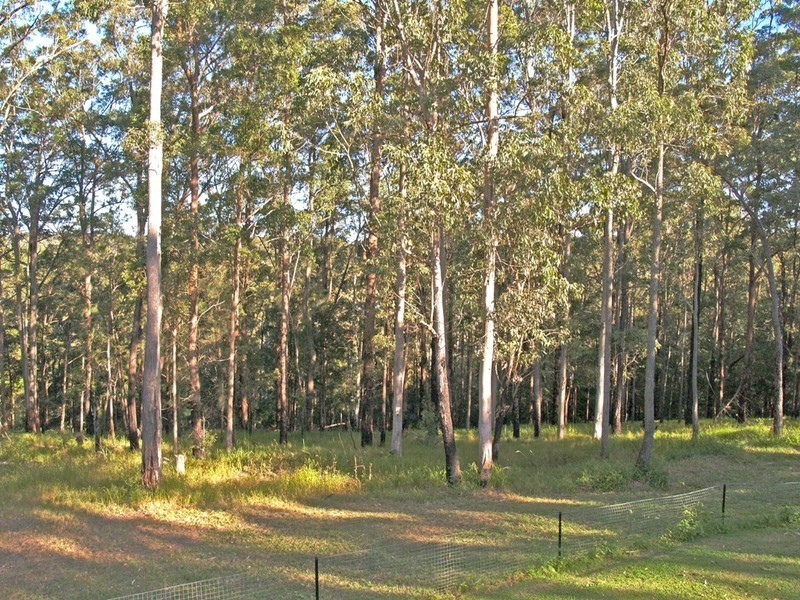 14 Harradine Close, Telegraph Point NSW 2441