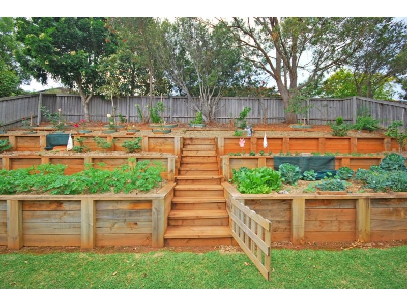 38 Jonas Absalom Drive, Port Macquarie NSW 2444