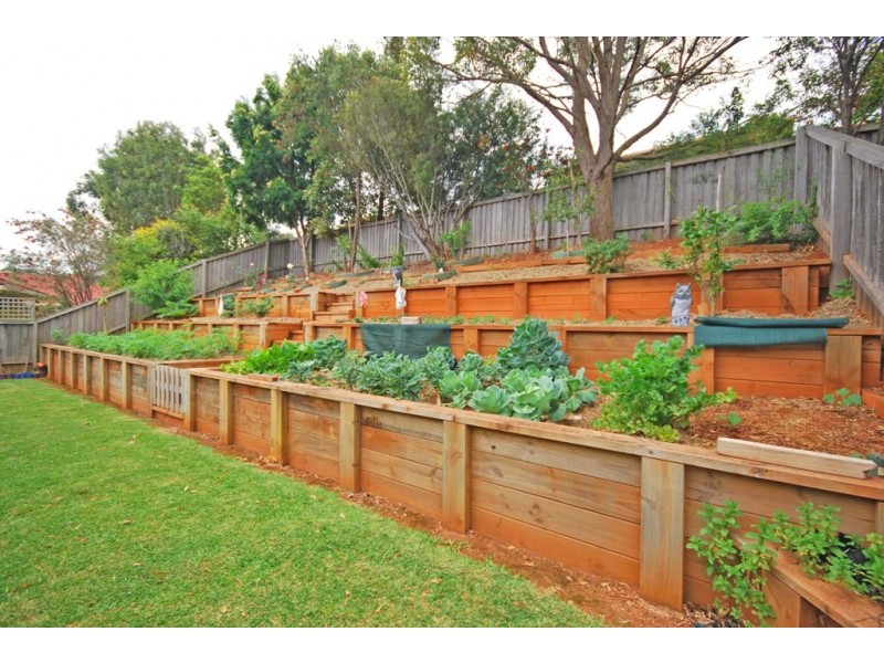 38 Jonas Absalom Drive, Port Macquarie NSW 2444