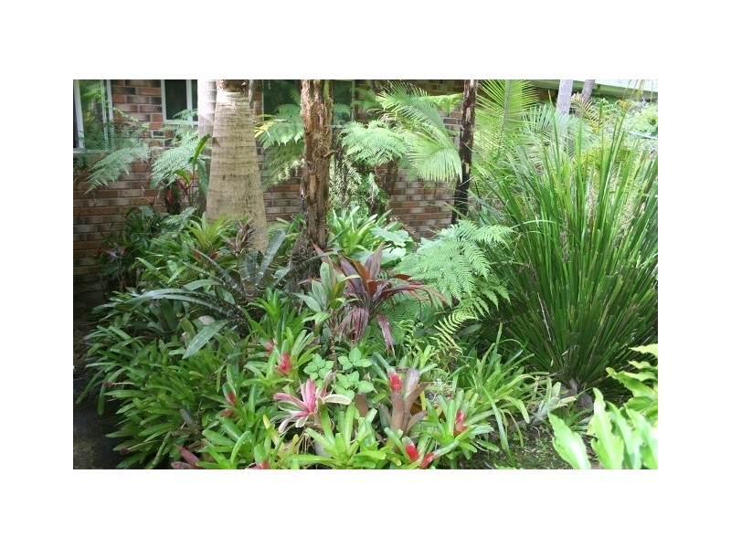 12 Franks Lane, Kundabung NSW 2441