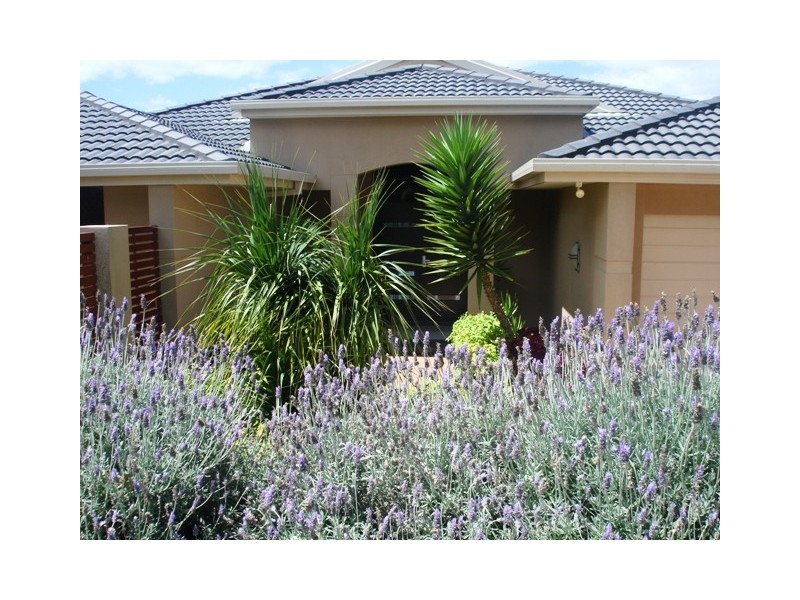 15 Yaluma Drive, Port Macquarie NSW 2444