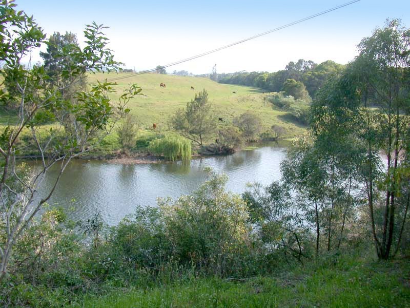 663 Beechwood Road, Beechwood NSW 2446