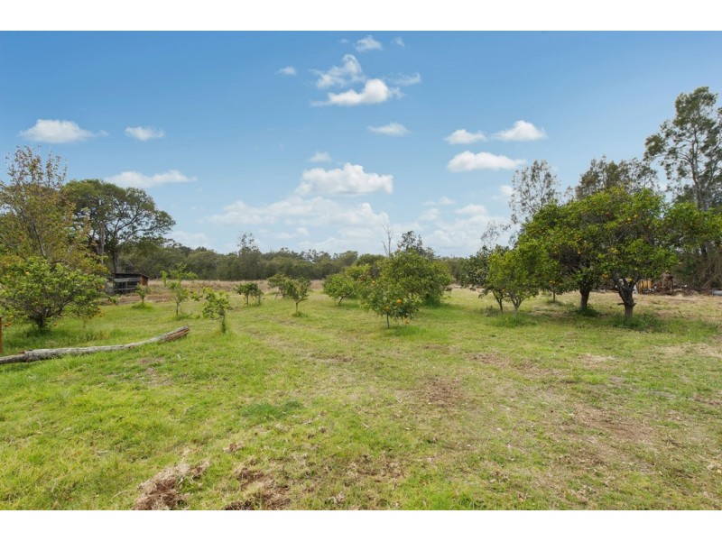 12 Stevens Street, Port Macquarie NSW 2444