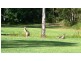 Lot 19 Oak Ridge Road, King Creek NSW 2446