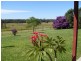 100 Mingaletta Road, Kundabung NSW 2441