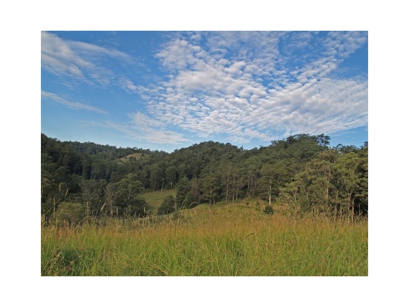 388 Red Hill Road, Telegraph Point NSW 2441