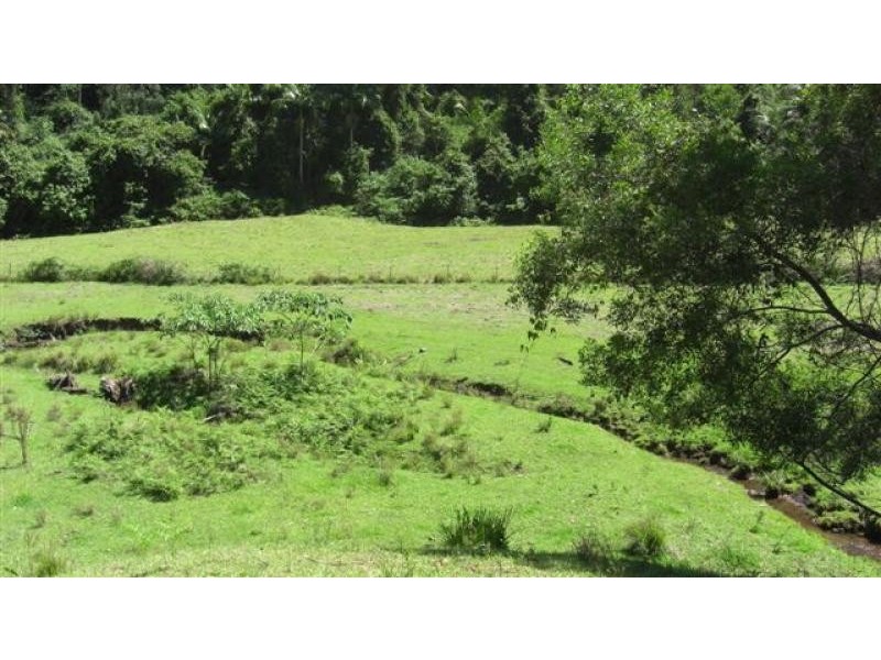 388 Red Hill Road, Telegraph Point NSW 2441