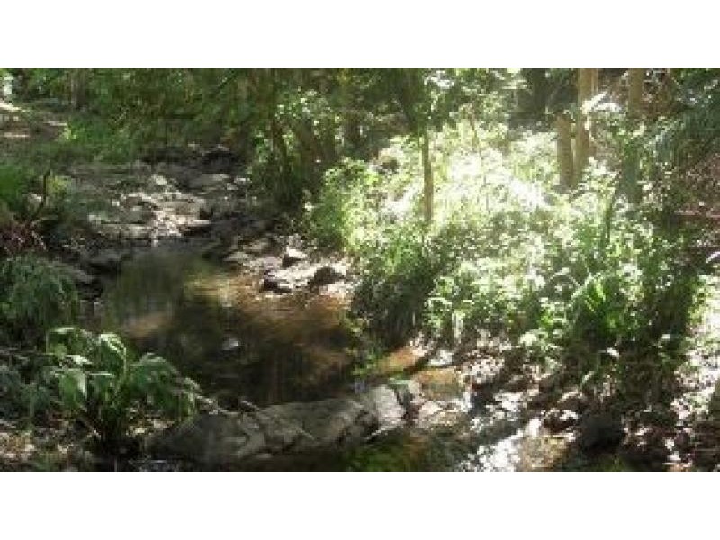388 Red Hill Road, Telegraph Point NSW 2441