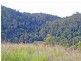 388 Red Hill Road, Telegraph Point NSW 2441