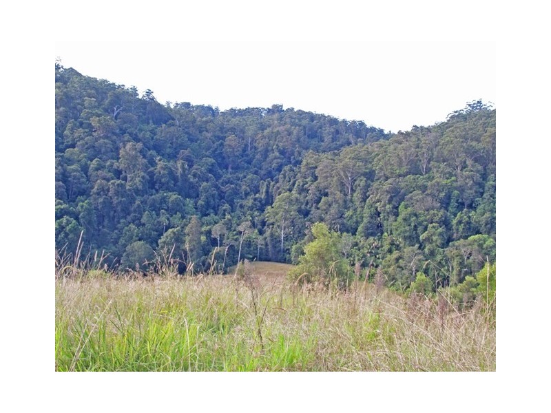 388 Red Hill Road, Telegraph Point NSW 2441