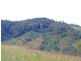 388 Red Hill Road, Telegraph Point NSW 2441