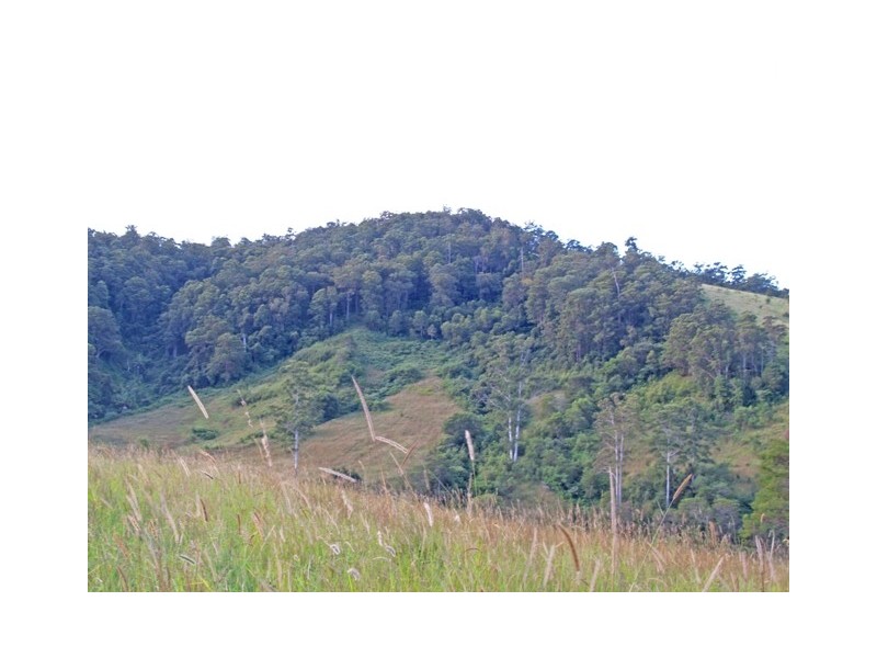 388 Red Hill Road, Telegraph Point NSW 2441