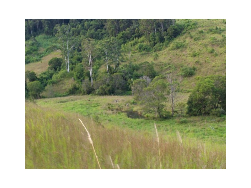 388 Red Hill Road, Telegraph Point NSW 2441