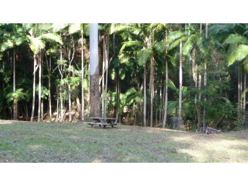 388 Red Hill Road, Telegraph Point NSW 2441