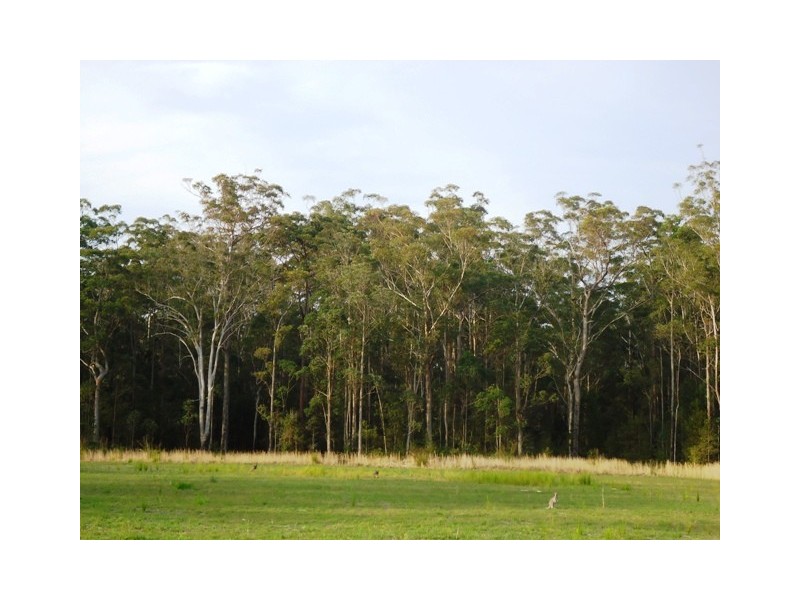 71 Blackmans Point Road, Port Macquarie NSW 2444