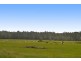 Lot 6 Pacific Highway, Telegraph Point NSW 2441