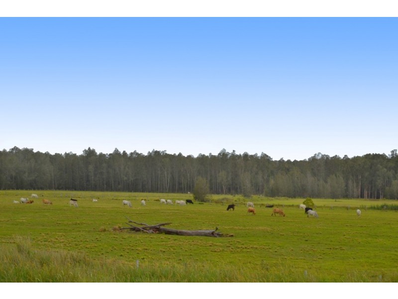 Lot 6 Pacific Highway, Telegraph Point NSW 2441
