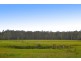 Lot 6 Pacific Highway, Telegraph Point NSW 2441