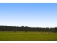 Lot 6 Pacific Highway, Telegraph Point NSW 2441