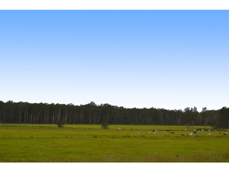Lot 6 Pacific Highway, Telegraph Point NSW 2441