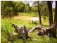 192 Bril Bril Road, Rollands Plains NSW 2441