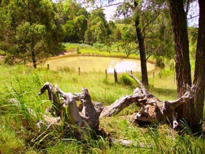 192 Bril Bril Road, Rollands Plains NSW 2441