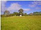 192 Bril Bril Road, Rollands Plains NSW 2441