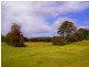 192 Bril Bril Road, Rollands Plains NSW 2441