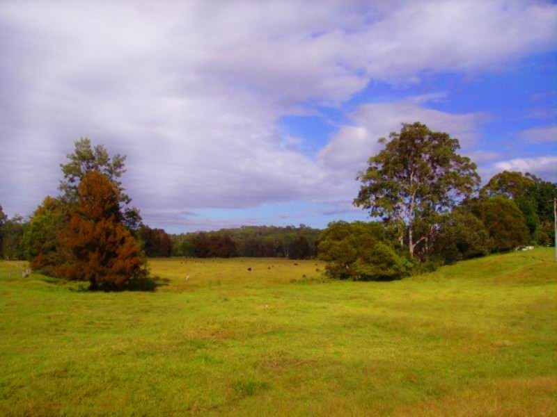 192 Bril Bril Road, Rollands Plains NSW 2441