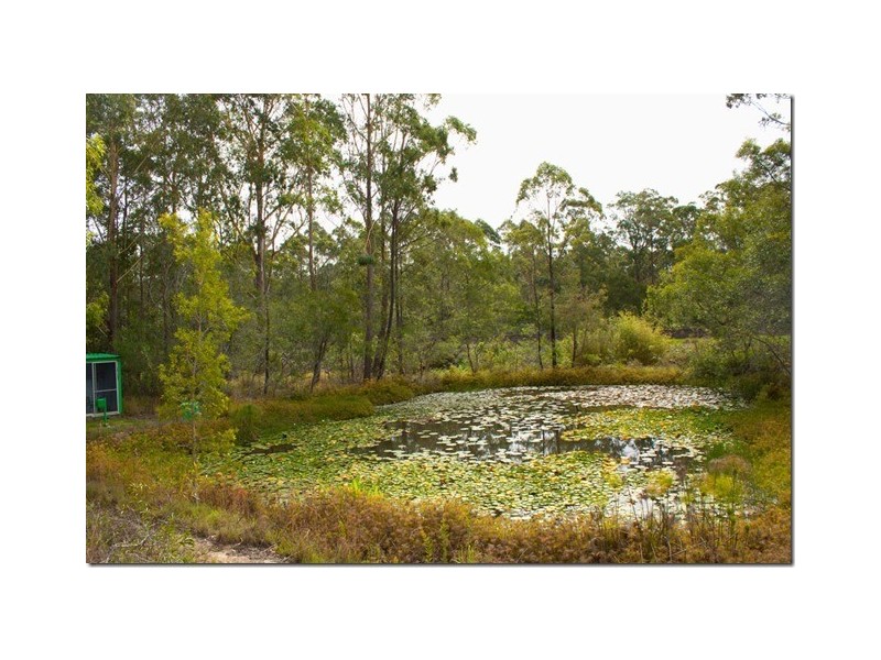 113 Farrawells Road, Telegraph Point NSW 2441