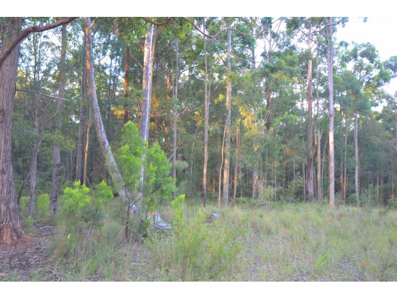 240 Red Hill Road, Telegraph Point NSW 2441