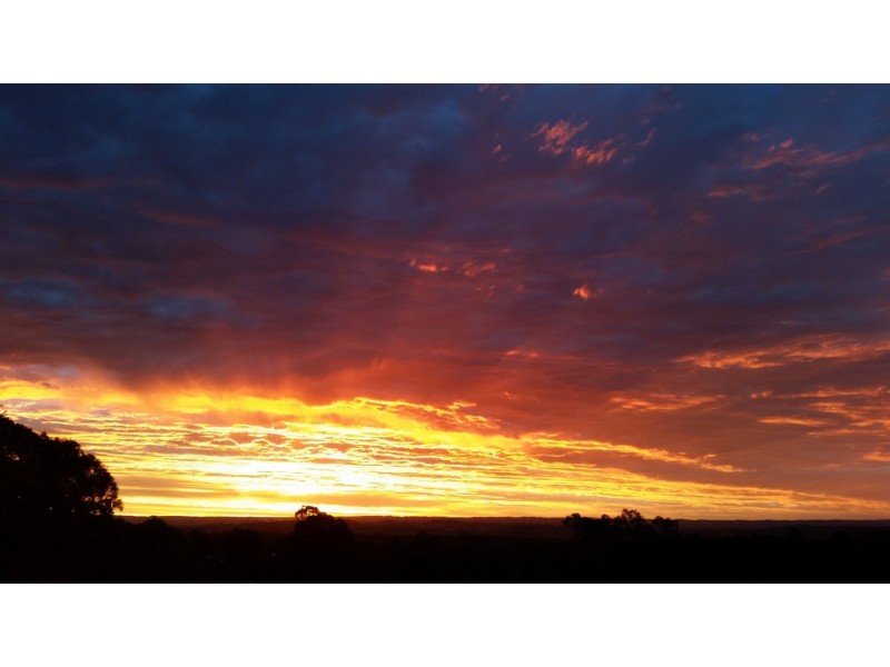 26 Alma Road, Leppington NSW 2179