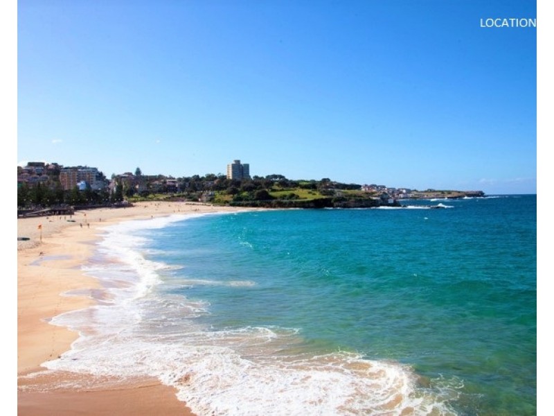 3/131 Mount Street, Coogee NSW 2034