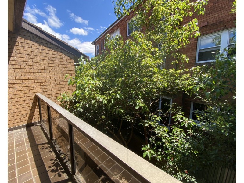 3/19 Cook St, Randwick NSW 2031