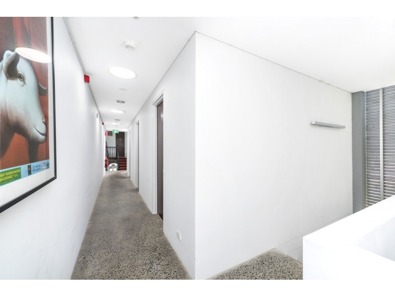 10 Frenchmans Road, Randwick NSW 2031