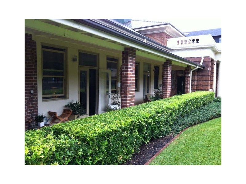 102/1-3 Coronation Ave, Petersham NSW 2049